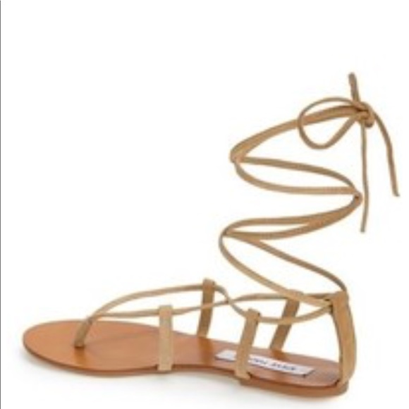 steve madden lace up gladiator sandals